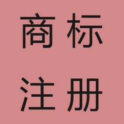 上海企業怎么辦理進出口權 代辦進出口權